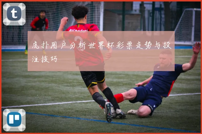 虎扑用户分析世界杯彩票走势与投注技巧