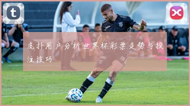 虎扑用户分析世界杯彩票走势与投注技巧